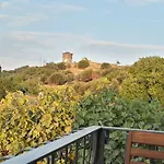 纯达拉毕斯酒店 3* Ayvalı